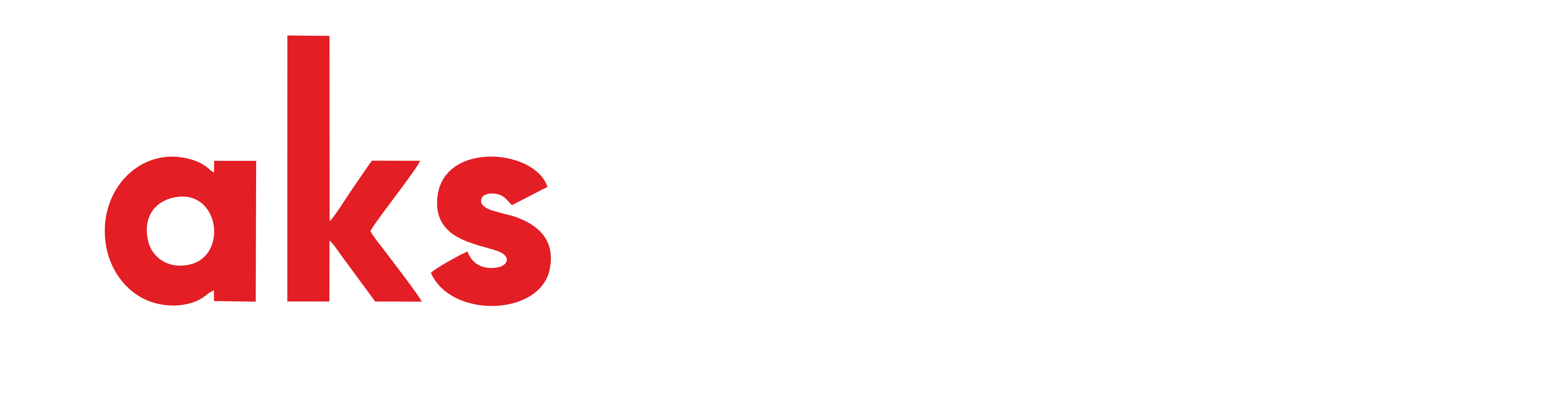 AKS KONVEYÖR BANT  RULO SİSTEMLERİ